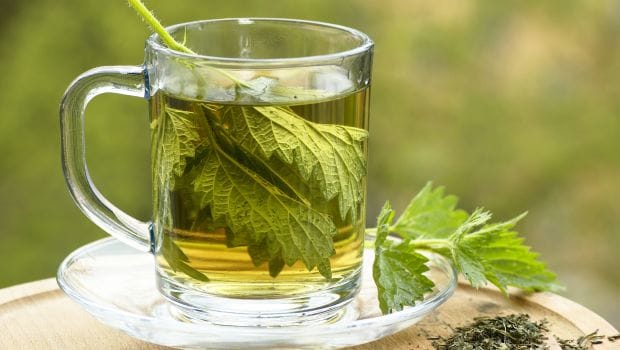 nettle-tea-620_620x350_81486124039