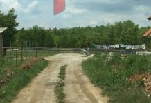 Rrëfimi nga Ferizaj: Burri e hodhi nga dritarja gruan ia theu brinjët