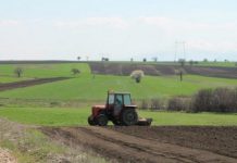 Lajm i mirë për 3906 fermerë