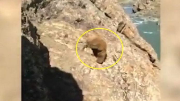 Screenshot_5-5-780x439