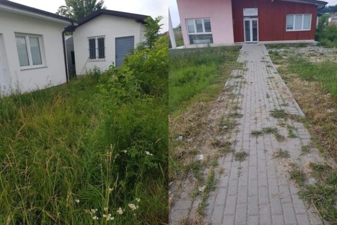 64891216_589138138159414_8593506102119759872_n