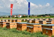 TIKA dhuron 1050 koshere bletësh në Podujevë