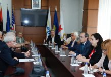 LDK takon zv/presidentin e PE-së, flasin për dialogun me Serbinë