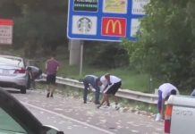 Kamionit të blinduar që transportonte para i hapet dera gjatë rrugëtimit, derdhen paratë nëpër autostradë – kalimtarët i vjedhin 175 mijë dollarë