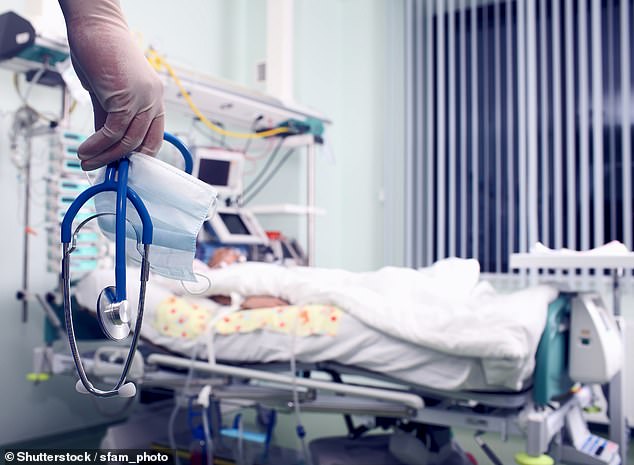 16268330-7266473-image-a-1_1563573132188