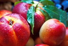 Nektarina, fruti që pastron gjakun dhe shëron sëmundjet