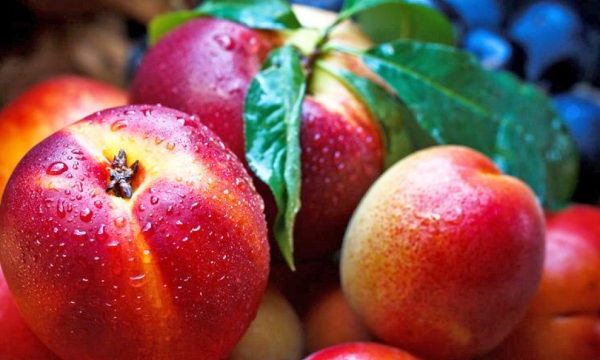 201706032329299601057-600x360-e1564075812754