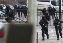 Aksion i madh i Policisë për dallavere me patentë shofer, disa zyrtarë të arrestuar