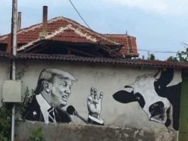 Fotografia e Trump me një lopë nuk gjendet në Lupç të Podujevës