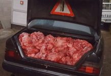 Sekuestrohen mbi 700 kilogramë mish në Klinë, arrestohen dy persona