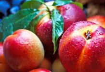 Fruti që pastron gjakun dhe shëron sëmundjet më shqetësuese