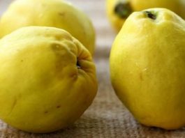 Ëmbëlsirë e shijshme me ftonj