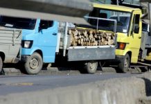 Ky është çmimi i druve në Kosovë