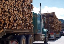 Krejt çka duhet të dini që të përfitoni nga fondi 6 milionesh i Qeverisë për energjinë
