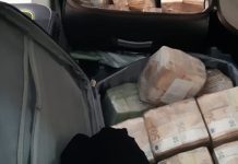 Sekuestrohen 13 milionë euro në Holandë – shtatë të arrestuar, mes të cilëve dy shqiptarë