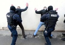 Detaje nga aksioni i madh i Policisë së Kosovës, 11 persona të arrestuar – konfiskohen drogë, kallasha dhe mijëra euro (FOTO)