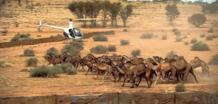 resized_dff98-5354eb85images1-1-933x445