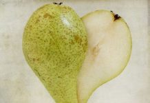 Konsumimi i dardhave ul rrezikun për sëmundjet e zemrës