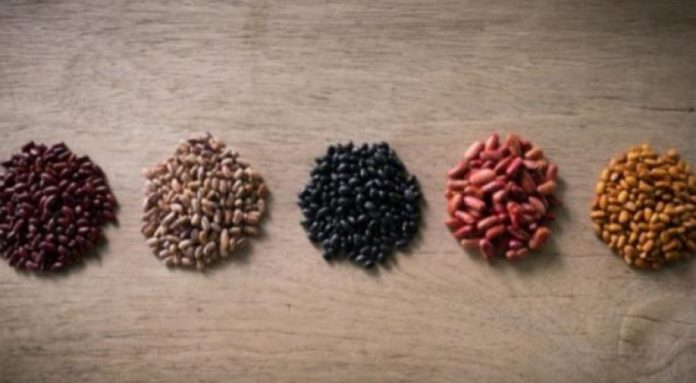 auto_13caj1581593201