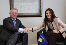 Skënder Hyseni: Mos të ngutemi, Vlora Çitaku është ambasadore shumë kompetente