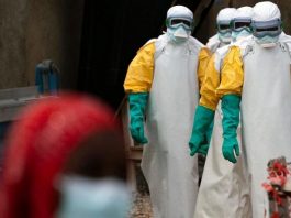 Derisa përgatiten për coronavirus, shfaqen rastet e Ebolas në Afrikë