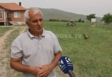 Ankohet familja, QKUK heton vdekjen e vajzës 15-vjeçare