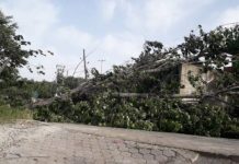 Erërat e fuqishme në vend shkaktojnë prishje në rrjetin elektrik, KEDS-i del në terren