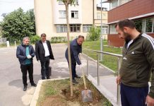 Komuna e Podujevës me aktivitete të ndryshme shënoi Ditën Botërore të Mjedisit