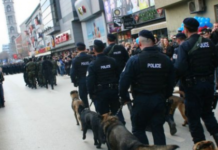 Policisë së Kosovës do t’i shtohen pesë qen për zbulimin e armëve