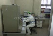 Numri i testeve pa rritje as në qeverinë e re (VIDEO)