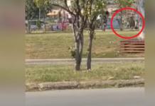 Rrahje në qendër të Prishtinës, dy të rinj grushtojnë një person tjetër