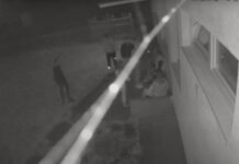 Policia jep detaje për rastin me të shtëna me armë zjarri në Bernicë
