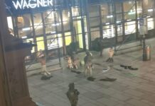 Sulmuesi i vrarë në Vjenë është me prejardhje nga Tetova