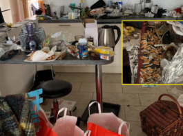 Kosovari ia lëshoi me qera banesën zviceranes, tmerrohet nga ajo që pa kur u kthye