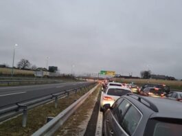 Kolona të gjata në kufirin Hungari-Serbi, bashkatdhetarët s’ka kush i ndal për Kosovë!