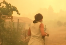 Gazetarja greke shpëton kotelen nga flakët, nuk e lëshon nga dora gjatë transmetimit live