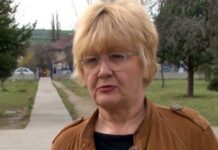 Reciprociteti për targat, Trajkoviq: Vuçiq kishte shpresuar se Kosova do të ndahej deri në vitin 2021