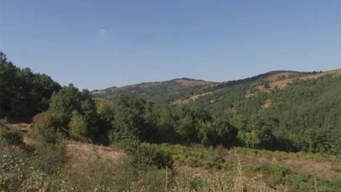 druri-780x439