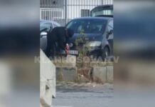 Policja heq targat nga vetura e saj (VIDEO)