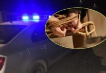 Policia jep detaje për grabitjen në Pejë, ku hajnat lidhën pronarin e shtëpisë dhe gruan e tij