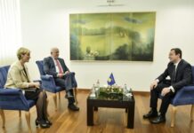 Kryetarja e Preshevës: Faleminderit Kosovë