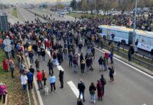 Pamje nga Serbia, demonstruesit bllokojnë autostradat e urat – përdoren shufrat e grushtat