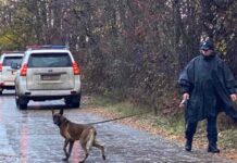 20 mijë euro shpërblim për personin që jep informacione për autorin e vrasjes së trefishtë në Deçan