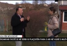 Mërgimtari thotë se u plaçkit në Serbi – i morën para dhe stoli ari që kishte në veturë