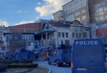Antidroga godet rrjetin në veri/ Pranga 4 serbëve, sekuestrohen mbi 2 mijë fije kanabisi