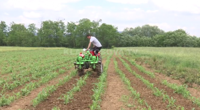 A5826DAE-FACE-4035-83F0-FFBE84AB687E