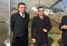 Mustafa e pyet Kurtin: Vajit çka më i ba, boss? Ku me qu?!