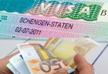 I mashtroi se do t’u siguronte viza pune në Slloveni dhe u mori 2 mijë euro, arrestohet