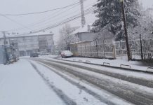 Ndryshimi i motit, Dragashi mbulohet nga bora