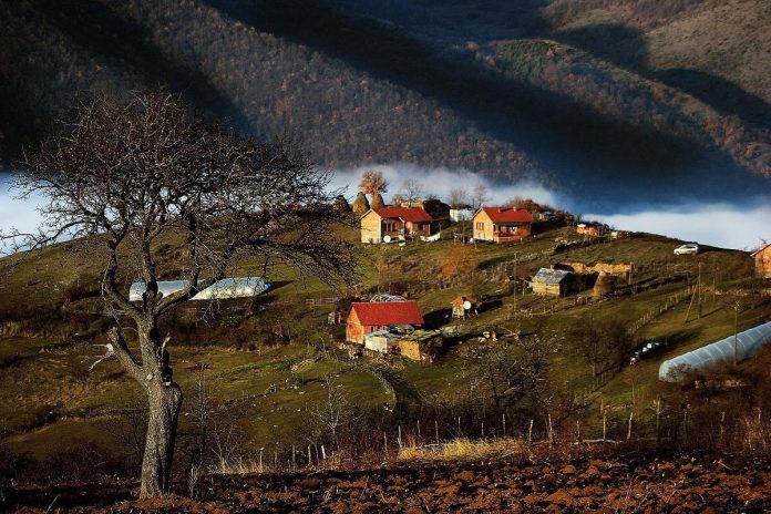 34C854C5-6243-49C2-A8BC-FB8439BB8262